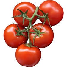 Tomato , Tamatar ,