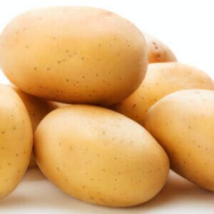 potato , aloo daily essential vegetables,